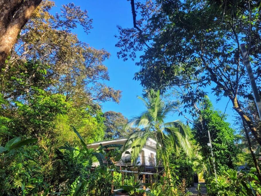 Willa Luba House Puerto Jiménez Pokój zdjęcie